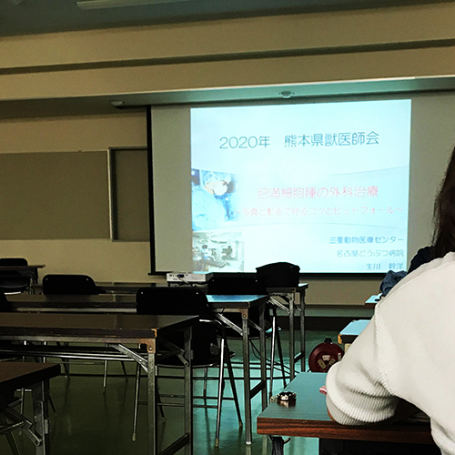 熊本県獣医師会 小動物講習会