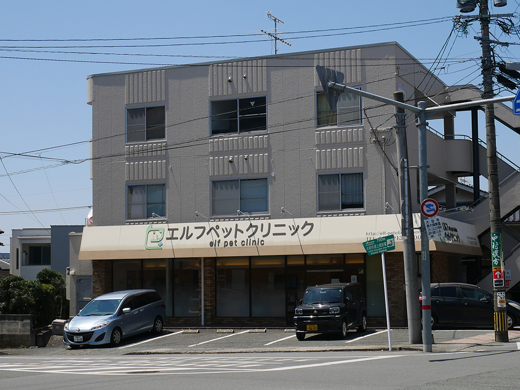 エルフペットクリニック