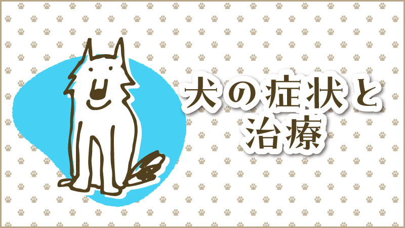 犬の症状と治療