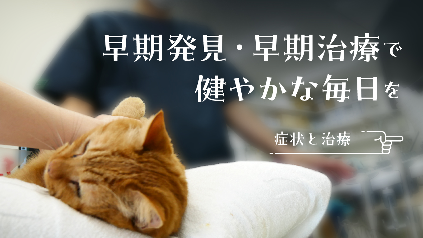 早期発見・早期治療で健やかな毎日を