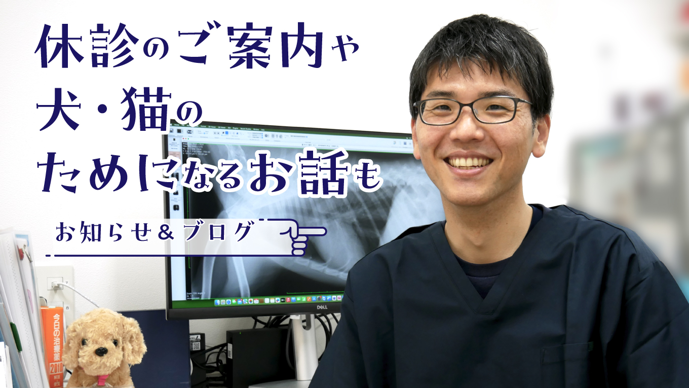 休診のご案内や犬・猫のためになるお話も