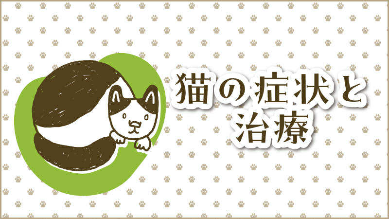 猫の症状と治療