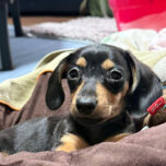 11月28日(金)は診療時間を変更します