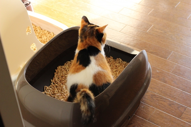 尿石症のサイン